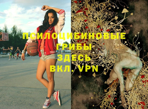 ALPHA PVP Вяземский