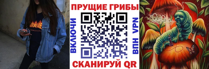 Псилоцибиновые грибы Magic Shrooms  блэк спрут маркетплейс  Жердевка 
